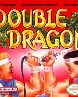 Double Dragon - Nintendo mini Cd interactivo