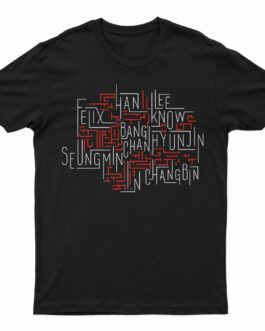 Polera Stray Kids "Connections"